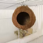 Coconut Shell Pet House
