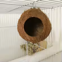 Coconut Shell Pet House