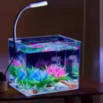 Desktop Fish Tank