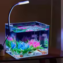 Desktop Fish Tank