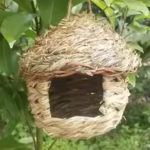 Handwoven Straw Birdhouse