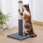 Voltsify Cat Scratcher