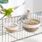 Bird Feeder Bowl