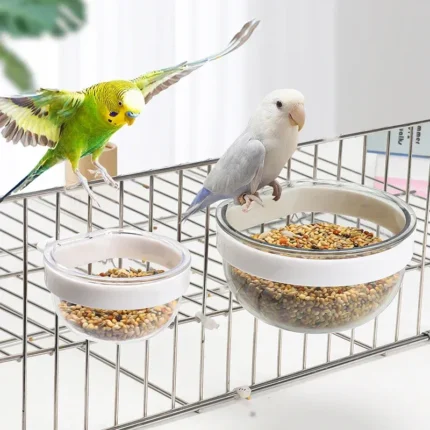 Bird Feeder Bowl