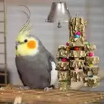 Parrot Chewing Toy