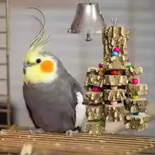 Parrot Chewing Toy