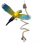 Parrot Rope Toy