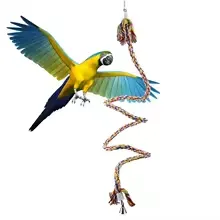 Parrot Rope Toy