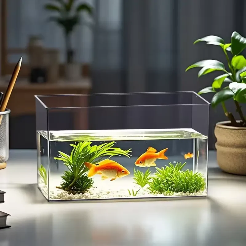 Transparent Fish Tank