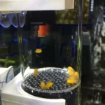 Fish Egg Incubator