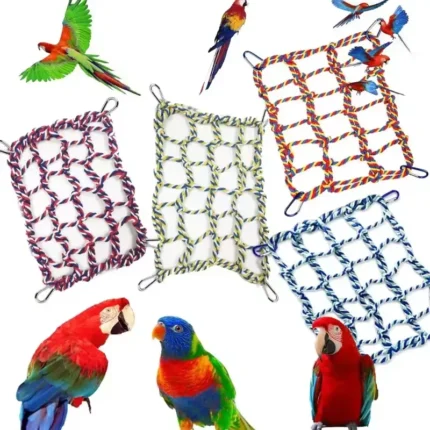 Bird Climbing Net