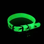Luminous Cat Collar