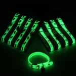 Luminous Cat Collar