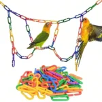 Colorful Bird Chain