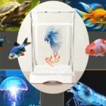 Acrylic Betta Fish Tank