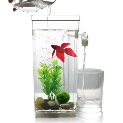 Lazy Water Fish Tank