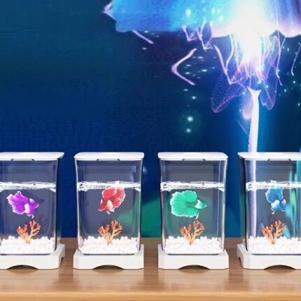 Acrylic Betta Fish Tank