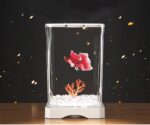 Acrylic Betta Fish Tank