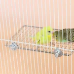 Stainless Bird Perch Platform