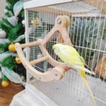 Parrot Pirate Swing Toy