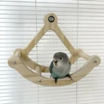 Parrot Pirate Swing Toy