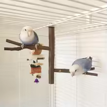 wooden parrot perch