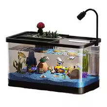 Betta Fish Tank
