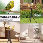 Indoor Outdoor Bird Stand