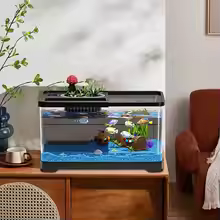 LED Fish Tank