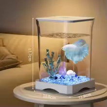 Mini Fish Tank