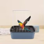 Tabletop bird shower