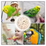 Wooden parrot toy