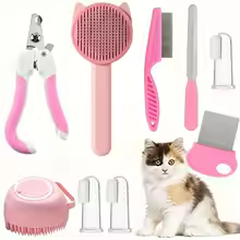 cat grooming
