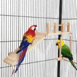 Parrot Climbing Stand