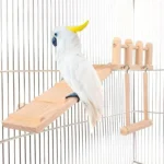 Parrot Climbing Stand