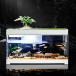 Desktop Aquarium Bowl