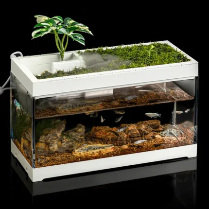 Desktop Aquarium Bowl
