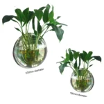 Wall Mount Fish Tank