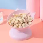 Elevated Cat Feeding Bowl