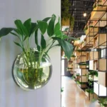 Wall Mount Fish Tank