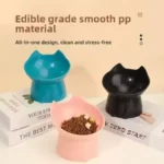 Elevated Cat Feeding Bowl