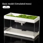 Desktop Aquarium Bowl