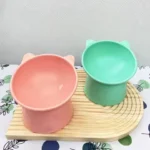 Elevated Cat Feeding Bowl