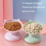 Elevated Cat Feeding Bowl