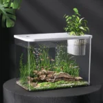 Transparent Turtle Tank