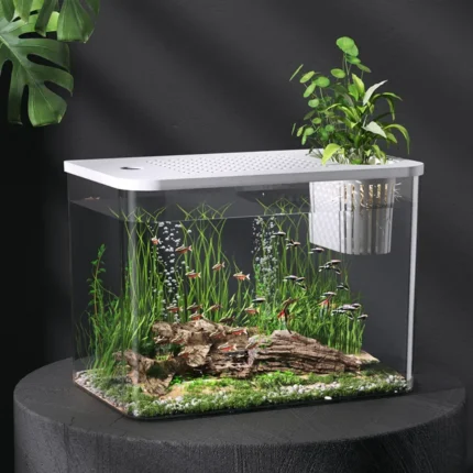 Transparent Turtle Tank