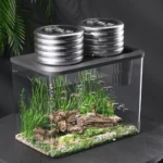 Transparent Turtle Tank