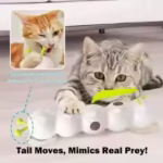 interactive cat toy